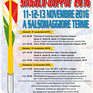 FinaleSI161.gif